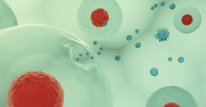 Time-gated Raman for Continuous In-line Monitoring of Extracellular Vesicles Purification