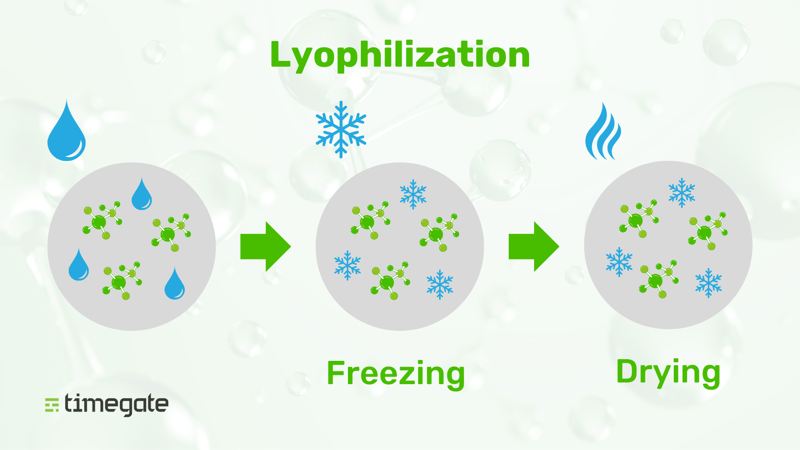 Optimizing Lyophilization: Enhancing Product Quality and Stability with Timegated® Tools