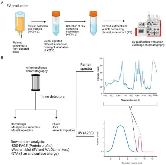 Versatile Molecular Monitoring of Platelet Extracellular Vesicle Purification Using Timegated® Raman Spectroscopy