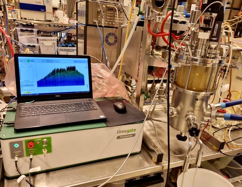 The promising bioprocess monitoring results with Timegated® Raman