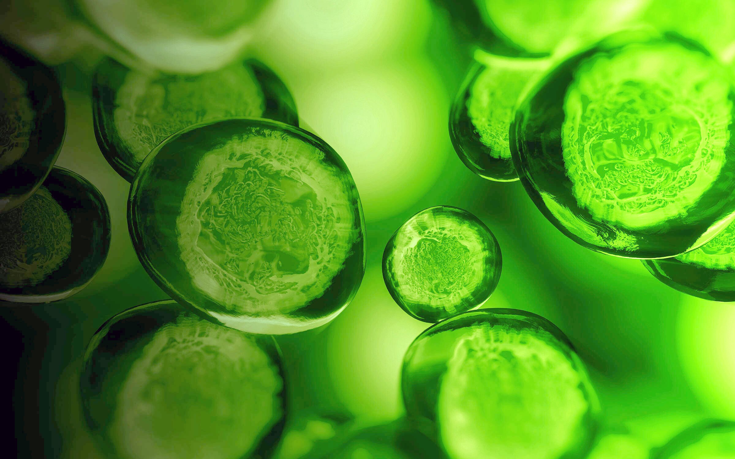 green-cells-pictured-upclose-1